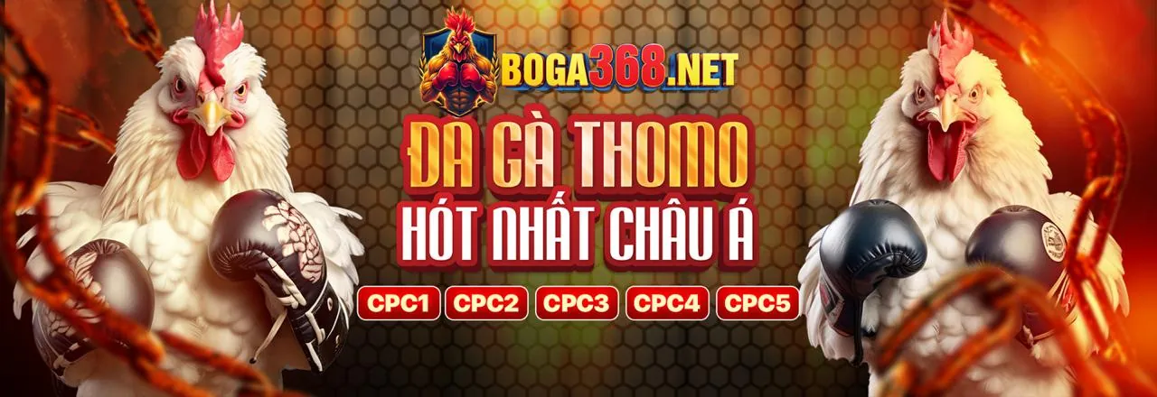Hình ảnh tổng quan blog 888new Nhà Cái