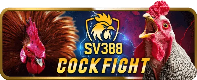 Khu vực Câu hỏi thường gặp của 888new nhà cái
